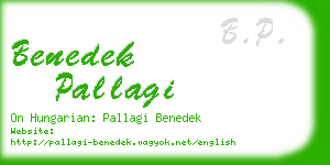 benedek pallagi business card